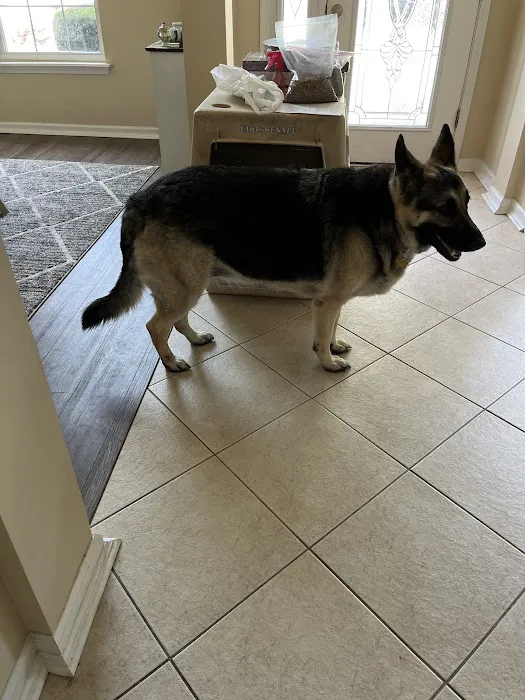 Polly Tails Home Euthanasia 12