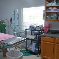 Alta Bluff Animal Hospital ico