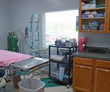 Alta Bluff Animal Hospital