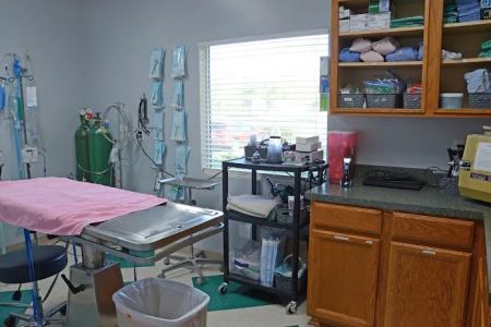 Alta Bluff Animal Hospital