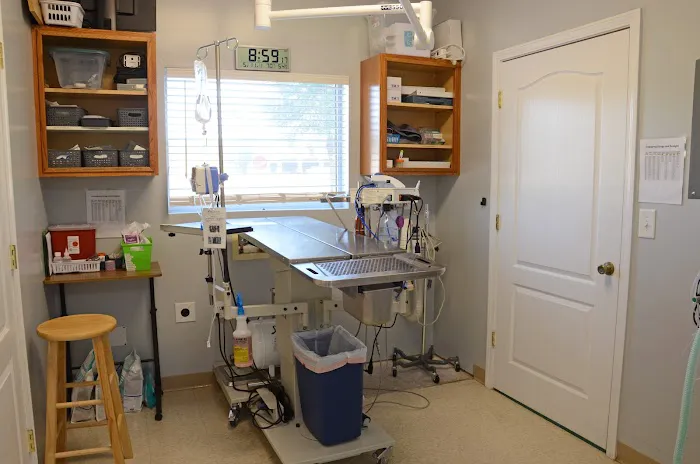 Alta Bluff Animal Hospital 12