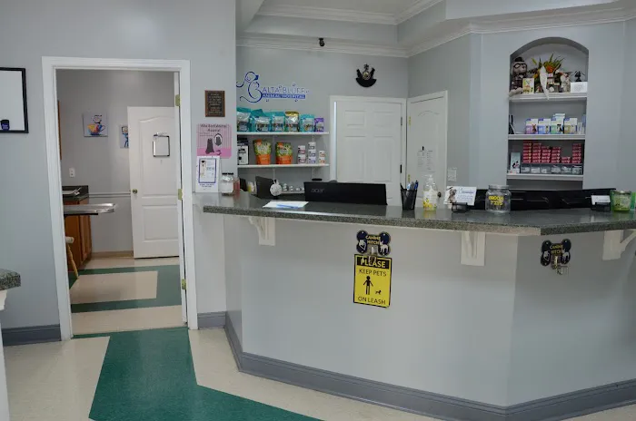 Alta Bluff Animal Hospital 12