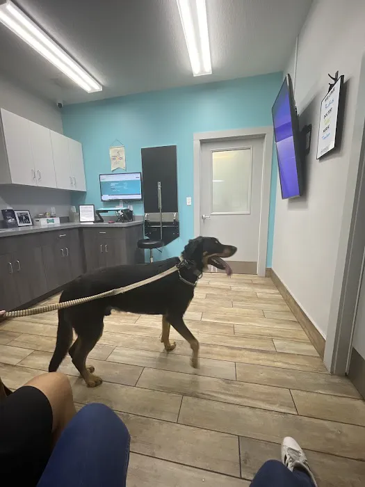 NewDay Veterinary Care 1