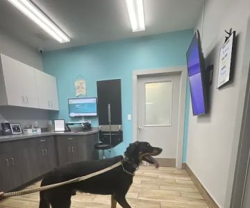 NewDay Veterinary Care