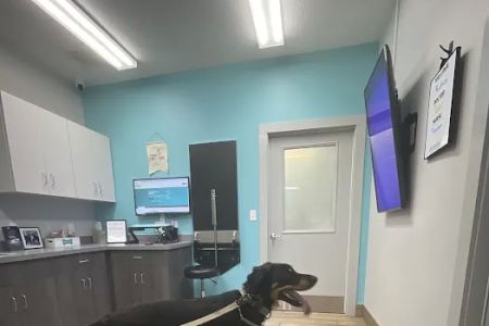 NewDay Veterinary Care