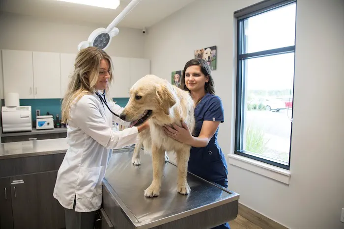 NewDay Veterinary Care 2