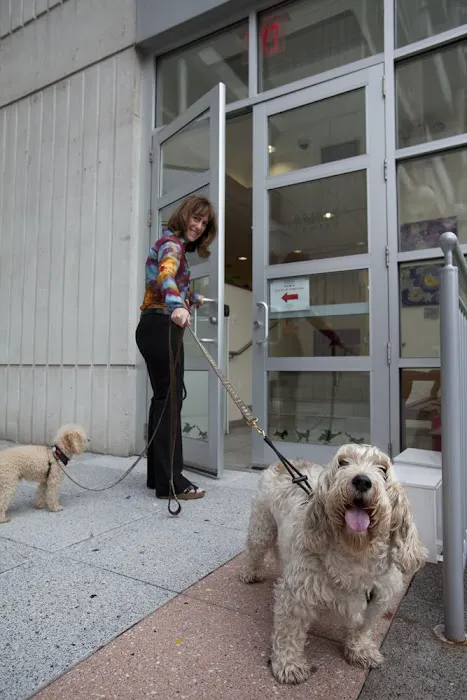 Gotham Veterinary Center 4