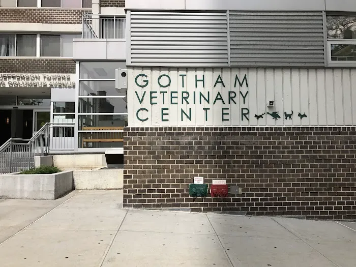Gotham Veterinary Center 2