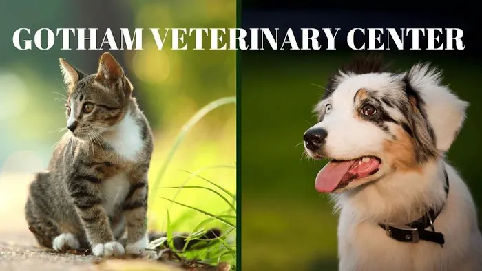 Gotham Veterinary Center 6