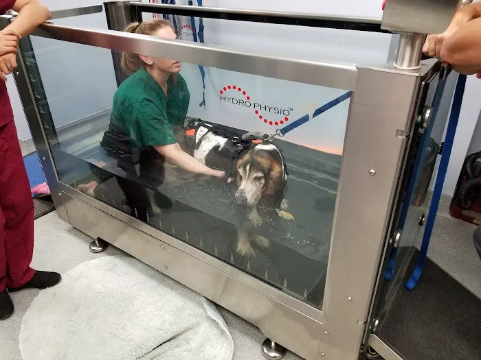 CANINE REHAB of NEW YORK 3