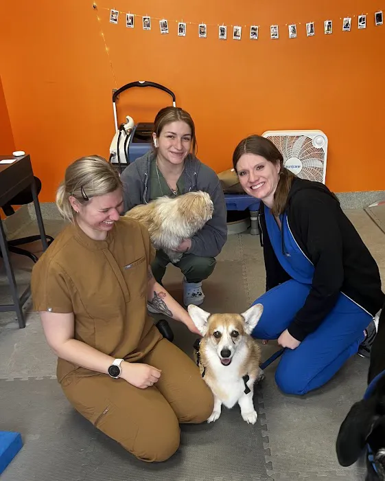 CANINE REHAB of NEW YORK 1