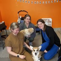 CANINE REHAB of NEW YORK ico