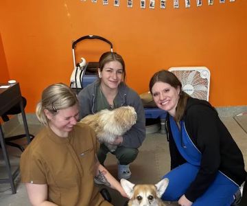 CANINE REHAB of NEW YORK