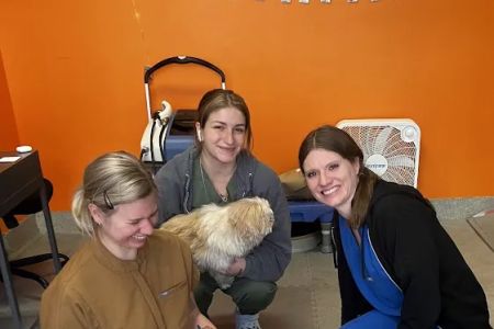 CANINE REHAB of NEW YORK