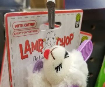 Petco