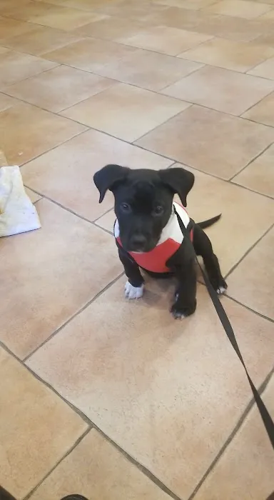 Symphony Veterinary Center 1