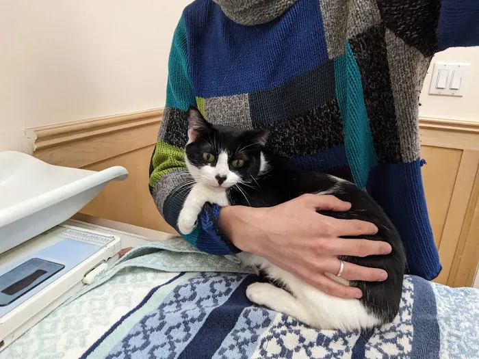 Symphony Veterinary Center 2