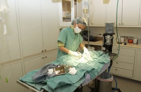 Symphony Veterinary Center 7