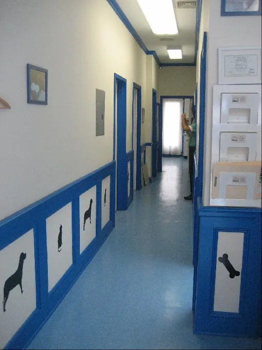 Healthy Pets Veterinary Services 4