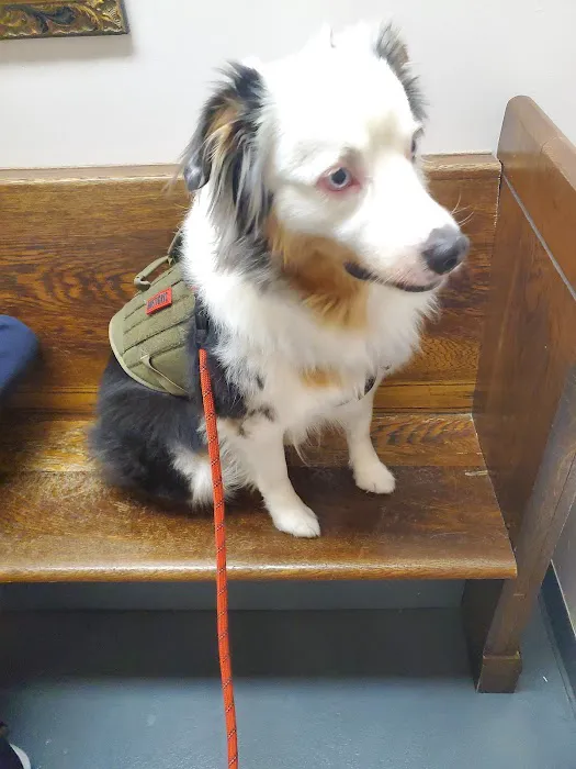 One Love Animal Hospital Bay Ridge 3