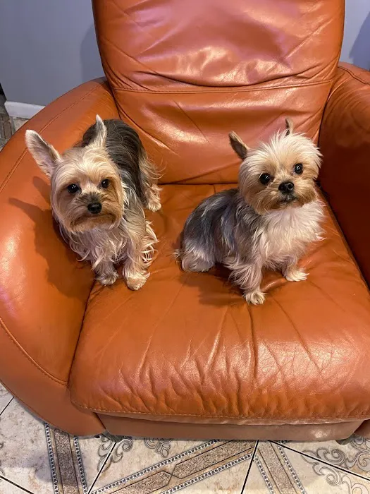 One Love Animal Hospital Bay Ridge 8