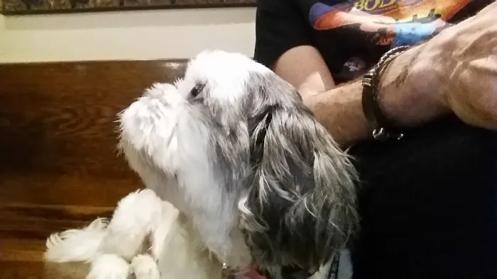 One Love Animal Hospital Bay Ridge 6
