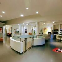 One Love Animal Hospital Bay Ridge ico