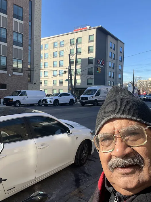 Animal Clinic of Bay Ridge: Ibrahim N DVM 12