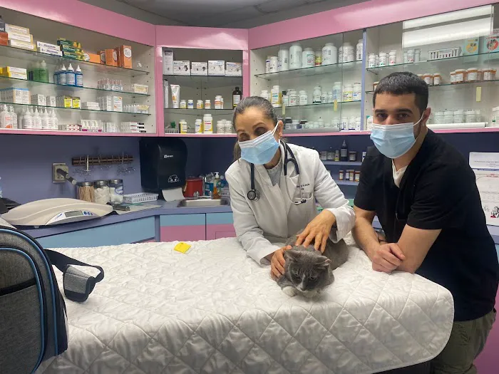 Animal Clinic of Bay Ridge 12