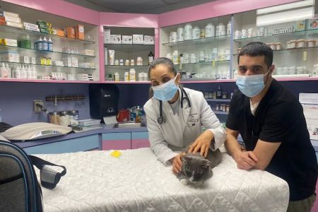 Animal Clinic of Bay Ridge