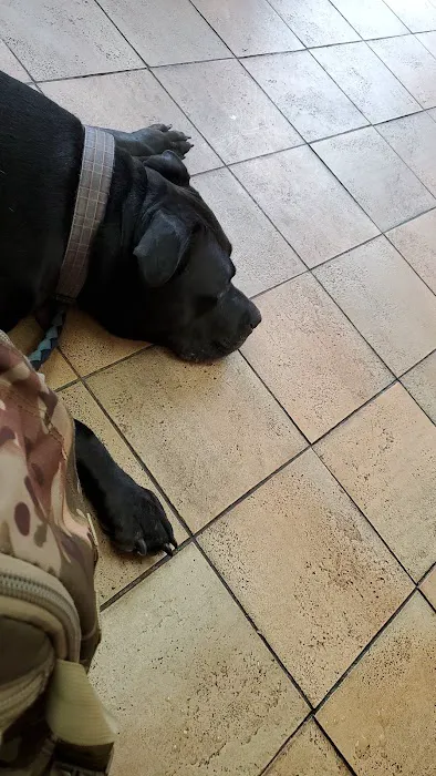 Fifth Avenue Veterinary Hospital 12