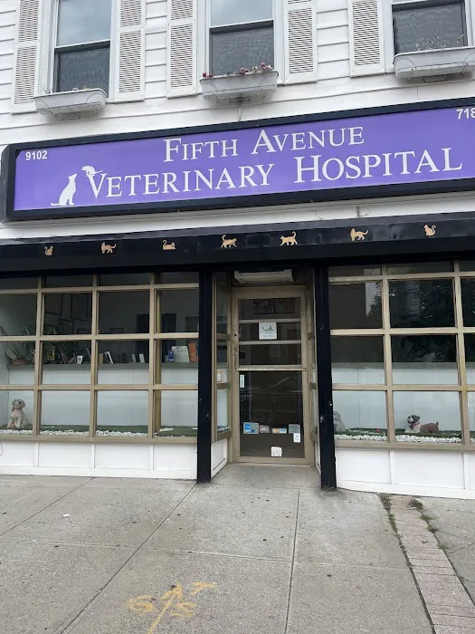 Fifth Avenue Veterinary Hospital 12