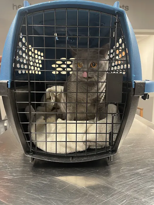 Fifth Avenue Veterinary Hospital 12
