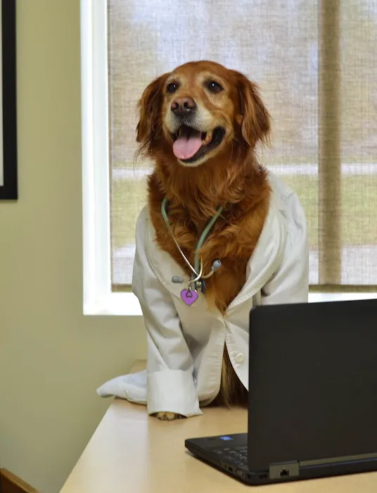 Longs Peak Animal Hospital 12
