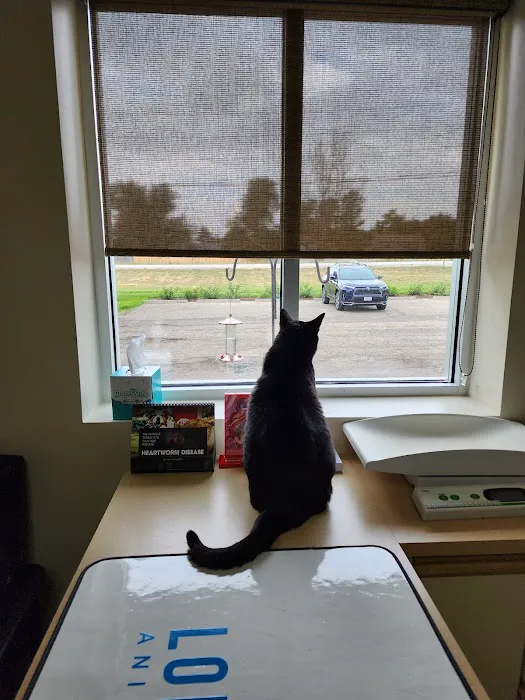 Longs Peak Animal Hospital 12