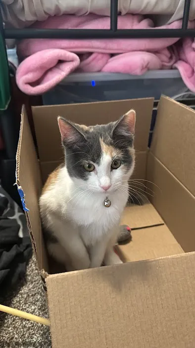 NoCo Spay & Neuter 12