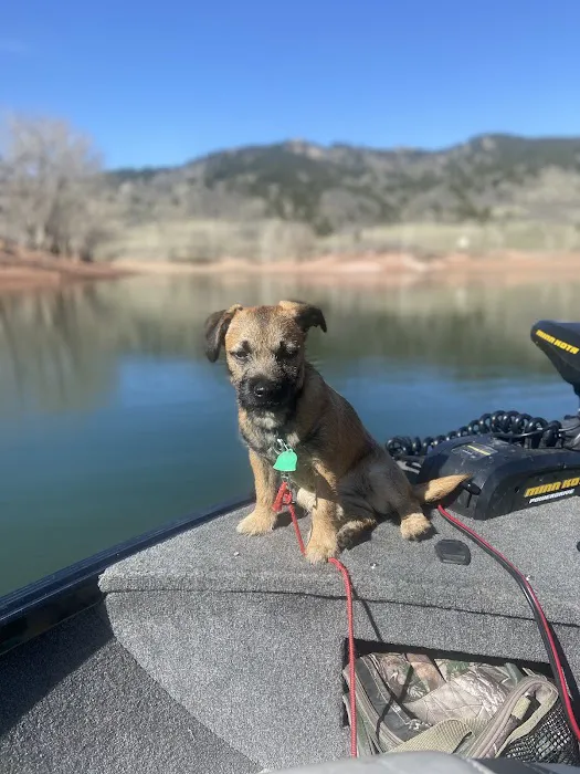 NoCo Spay & Neuter 12