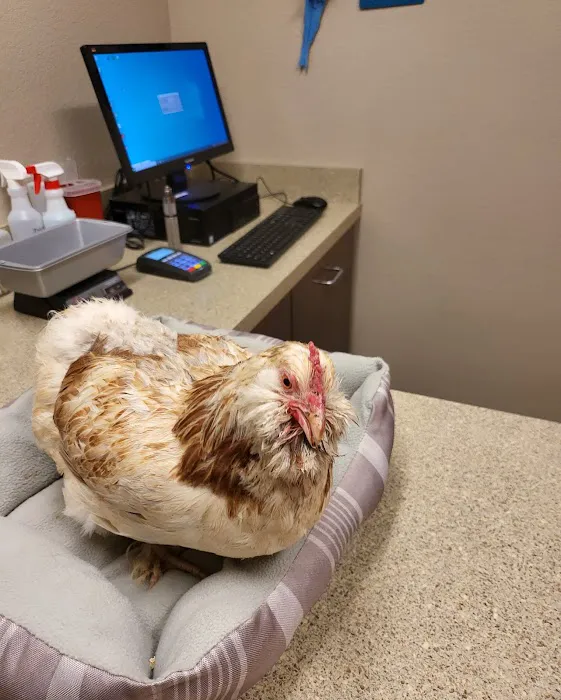 Berthoud Animal Hospital 12