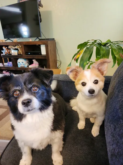 Berthoud Animal Hospital 12
