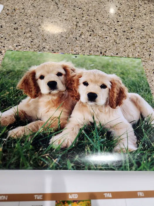 Berthoud Animal Hospital 12
