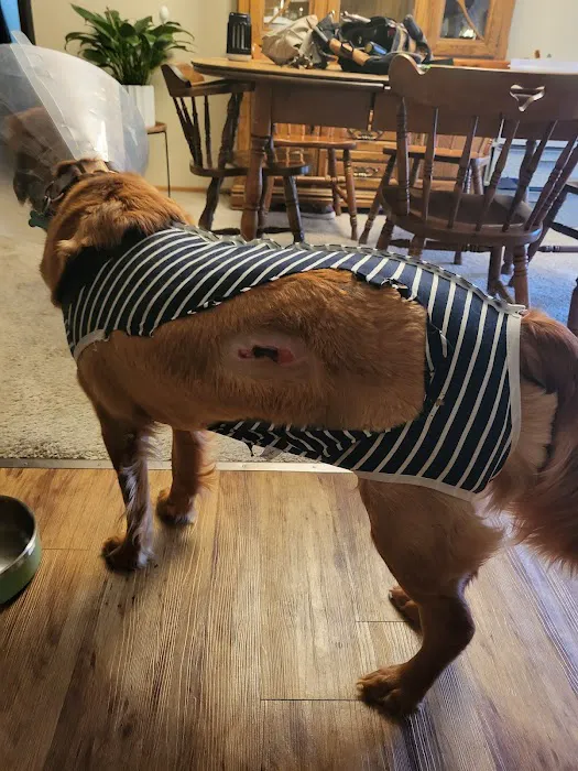 Animal Health At Home 12