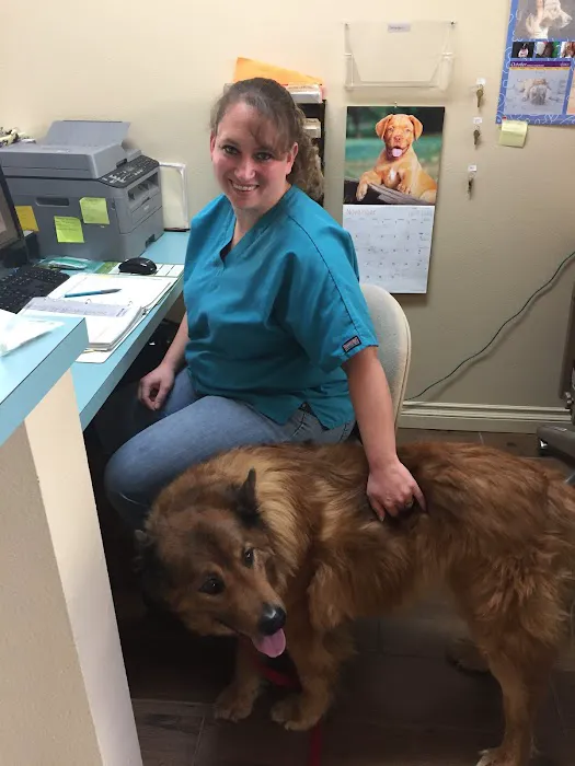 Animal Health At Home 12
