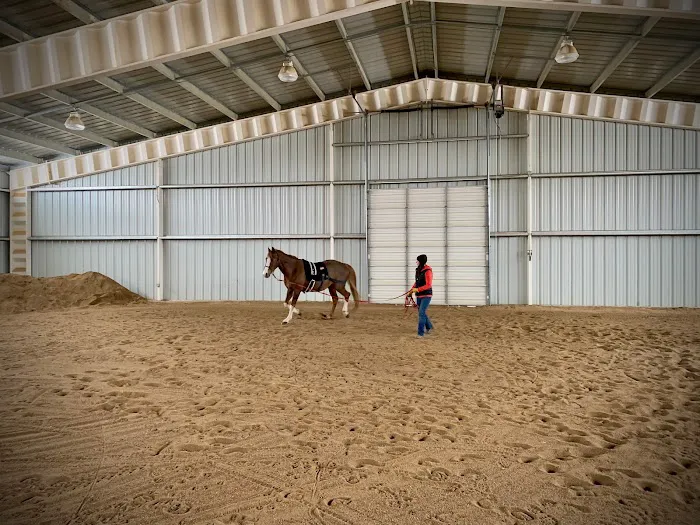 Front Range Equine Performance & Rehabilitation 12
