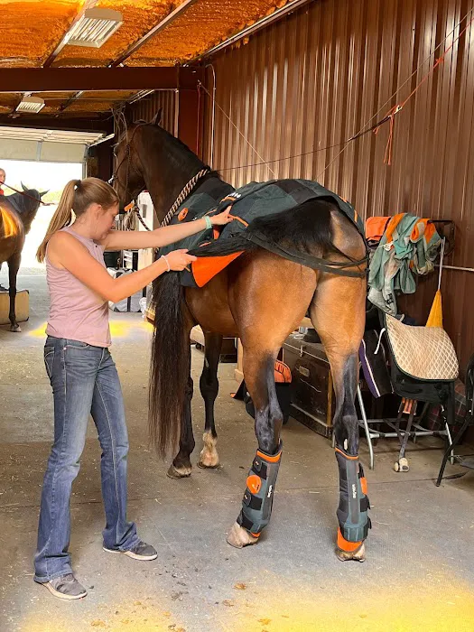Front Range Equine Performance & Rehabilitation 12