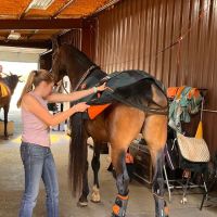 Front Range Equine Performance & Rehabilitation ico