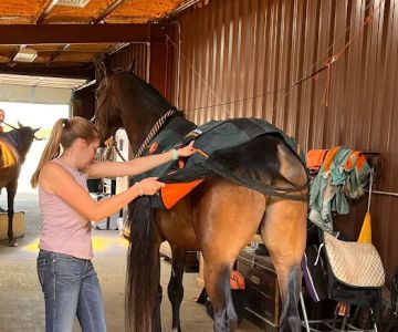 Front Range Equine Performance & Rehabilitation