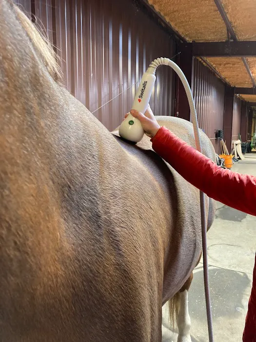 Front Range Equine Performance & Rehabilitation 12
