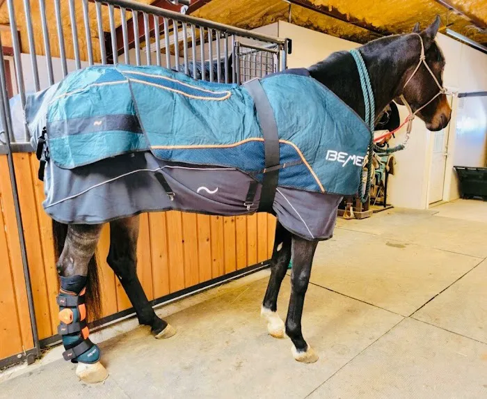 Front Range Equine Performance & Rehabilitation 12