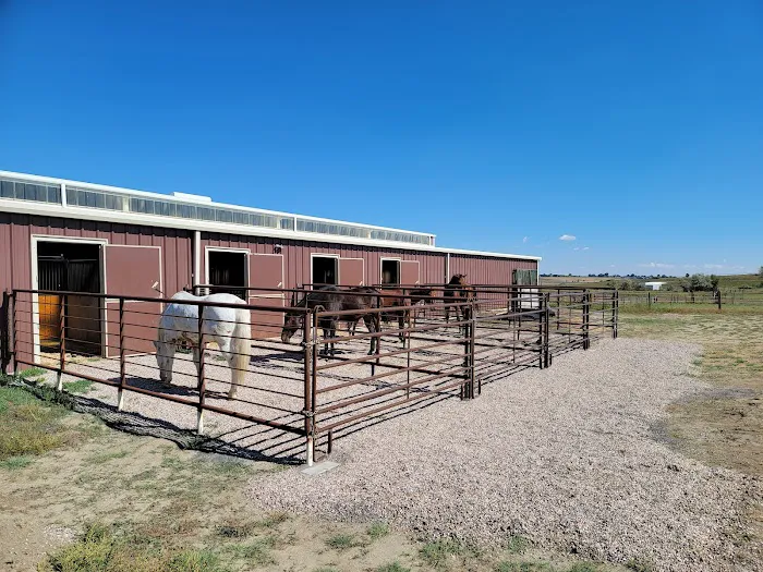 Front Range Equine Performance & Rehabilitation 12