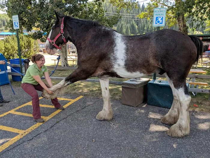 Front Range Equine Performance & Rehabilitation 12